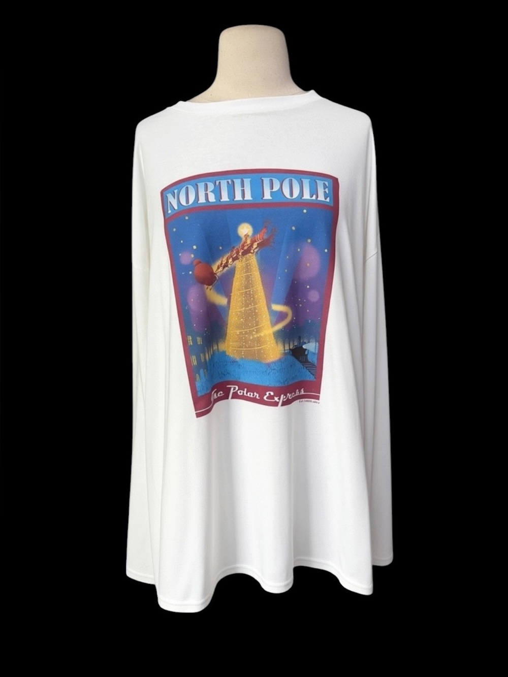 NWOT Gildan 100% Ultra‎ Cotton The Polar Express Long Sleeve Crewneck T-Shirt